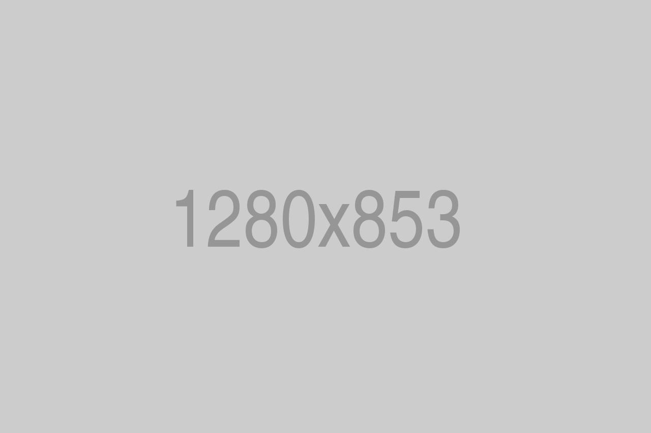 divi-gear-8